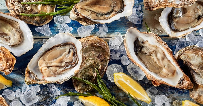 5* Seafood Theme Night Buffet W/Beverage For A Child Or Up To 4 Adults Abu Dhabi - Image 7