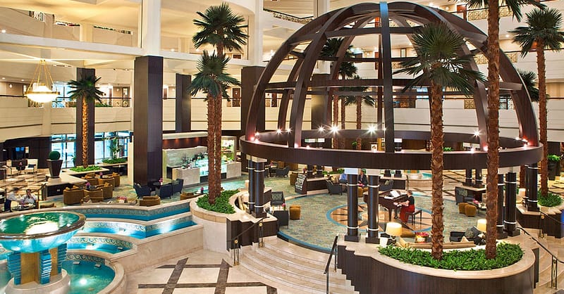 5* Sunday Brunch With Drinks: Child (Aed 79), Adult (Aed 159) Dubai - Image 3