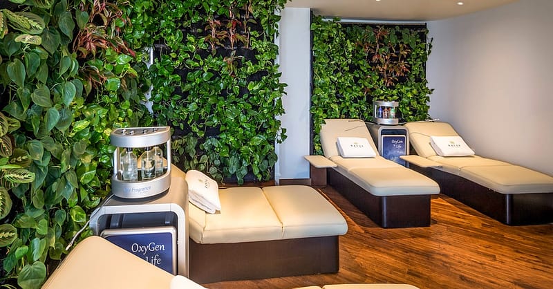 60 Or 90-Minute Treatment Of Choice And Spa Facilities, Oxygen Therapy Dubai - Image 8