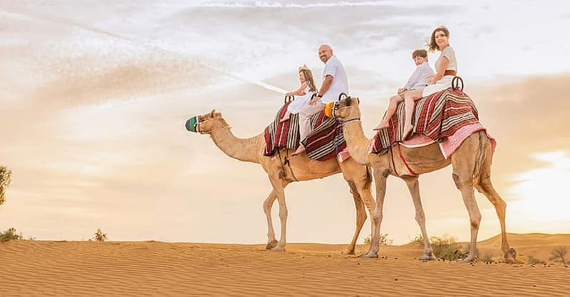 Abu Dhabi Desert Safari W/ Central/Home Or Hotel Pickup, Dinner & More Abu Dhabi - Image 3