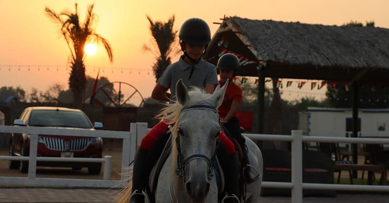 Al Madam 2 Stables, 45-Minute Horse Riding Lesson Dubai - Image 2
