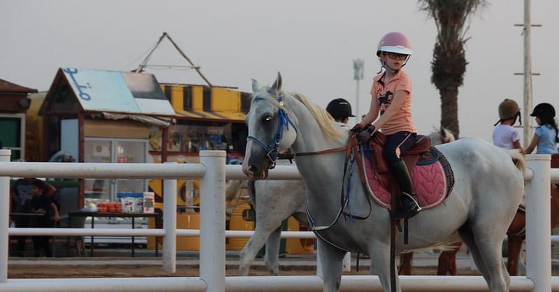 Al Madam 2 Stables, 45-Minute Horse Riding Lesson Dubai - Image 4