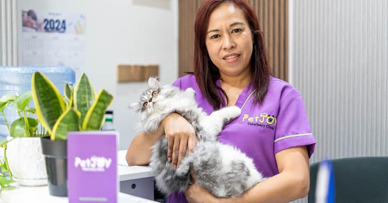 Basic Grooming Session At Pet Joy Veterinary Clinic Dubai - Image 4
