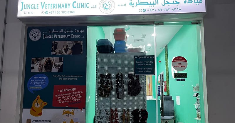 Basic Or Full Grooming For Cats Or Dogs Of Various Sizes Dubai - Image 3