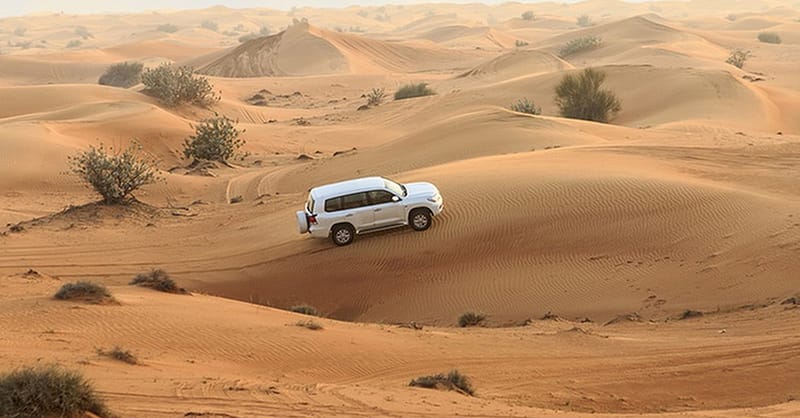 Canal Dhow Cruise And Desert Safari At Desert Ride Travel & Tour Dubai - Image 5