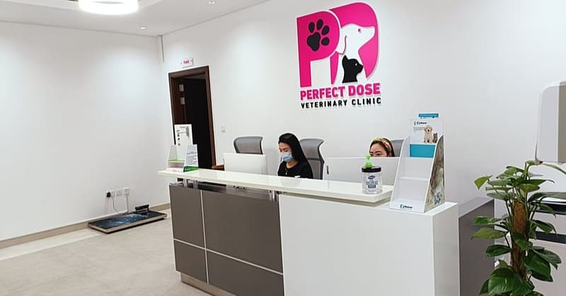 Cat Or Dog Annual Vaccination At Perfect Dose Veterinary Clinic Dubai