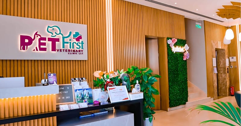 Cat/Dog Annual Vaccination, Full Check-Up W/ Optional Nail Trim & More Dubai - Image 10
