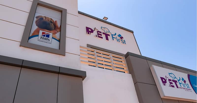 Cat/Dog Annual Vaccination, Full Check-Up W/ Optional Nail Trim & More Dubai - Image 18