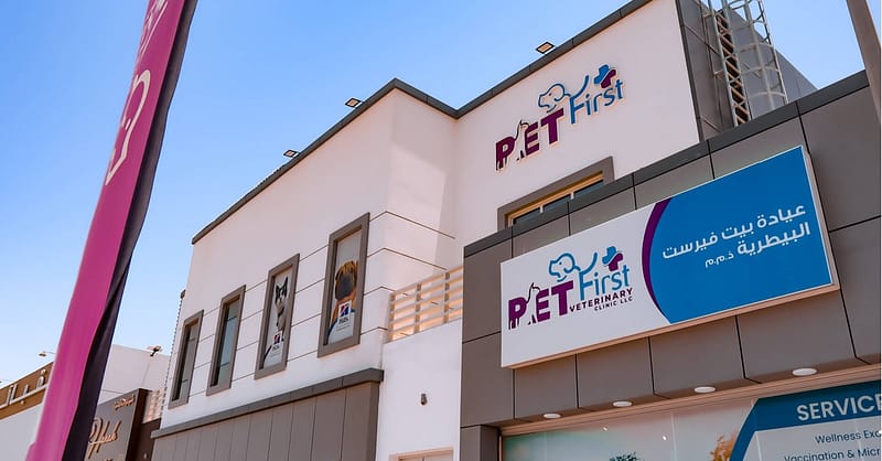 Cat/Dog Annual Vaccination, Full Check-Up W/ Optional Nail Trim & More Dubai - Image 20