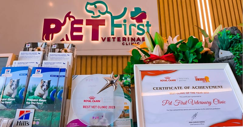 Cat/Dog Annual Vaccination, Full Check-Up W/ Optional Nail Trim & More Dubai - Image 9