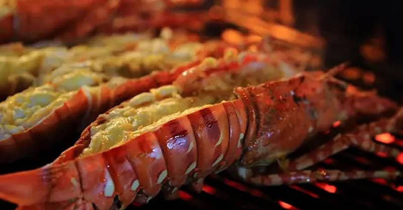 Choose From Sailor Boil Or Captain Boil At Shellfish Bar Dmcc Dubai - Image 12
