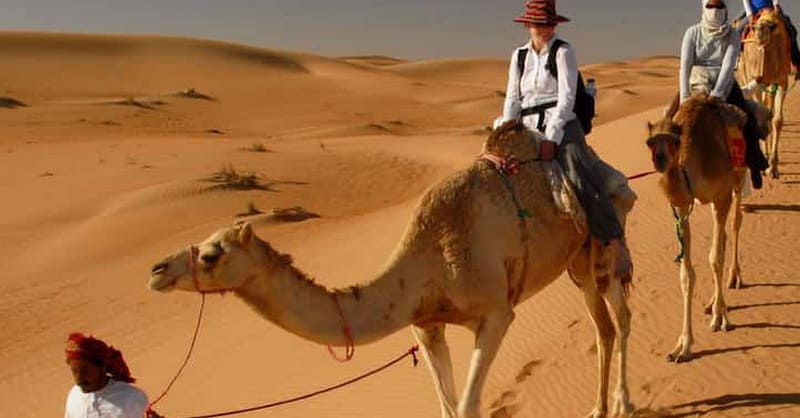 Desert Safari W/ Centralized Van W/ Optional 30-Min Quad Bike, & More Sharjah & N. Emirates - Image 2