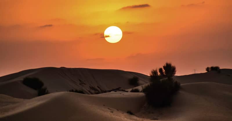 Desert Safari With 30 Minutes Quad Bike At Al Khaima Tours Dubai - Image 5