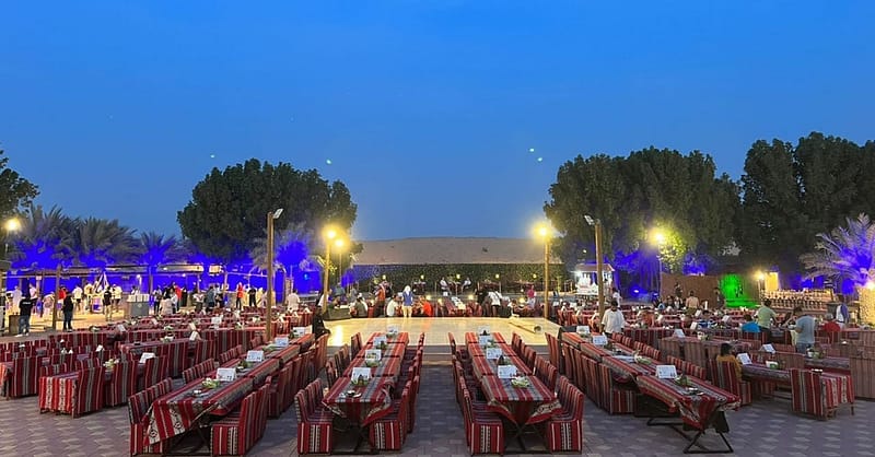 Desert Safari With Live Shows Dubai - Image 7