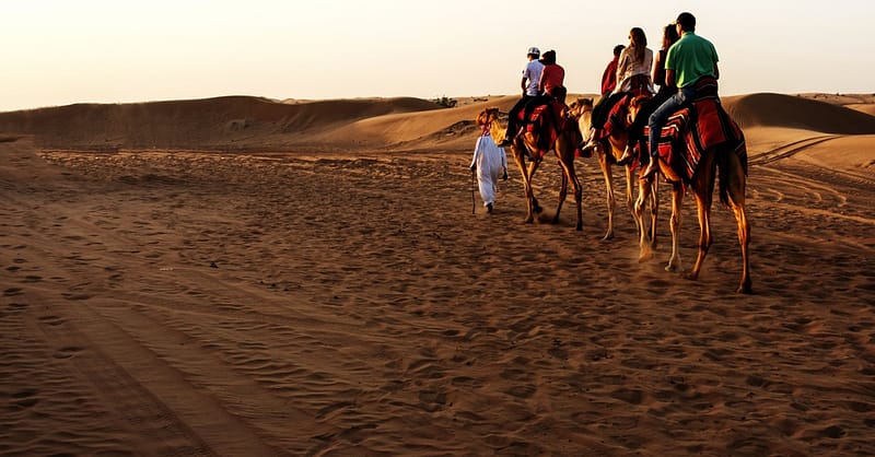 Desert Safari With Quad Biking Dubai - Image 7
