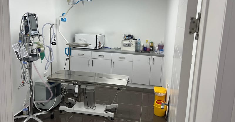 Discover Annual Vaccination, Deworming, Check-Up & More For Pets Dubai - Image 12