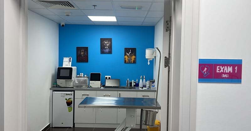 Discover Annual Vaccination, Deworming, Check-Up & More For Pets Dubai - Image 9