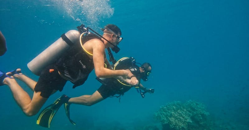 Dive Into Adventure With Diving Course Dubai - Image 11