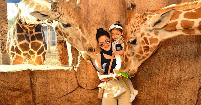 Dive Into Fun: Zoo Entrance With Activity And Aed 50/100/200 Voucher Abu Dhabi - Image 3