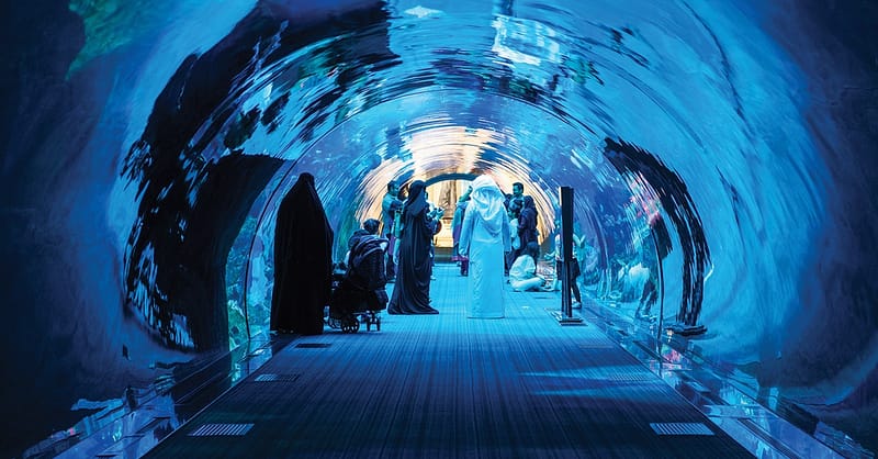 Dive Into The Ultimate Experience Adventure Packages! National Deal - Image 8