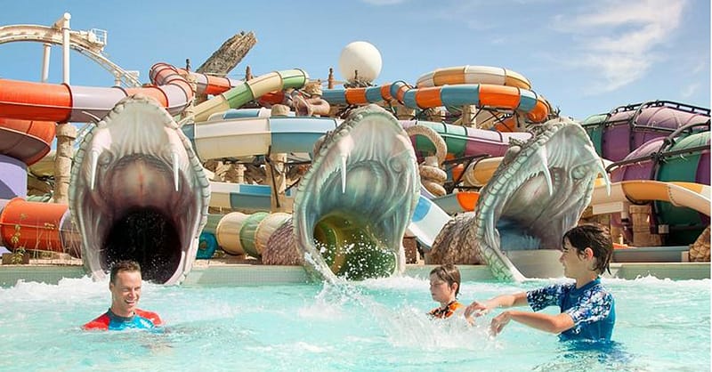 Dive With Fun: One Or Two Park Pass With Abudhabi Tour At Rs Tourism! National Deal - Image 15
