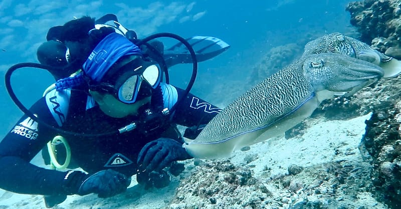 Diving Dubai - Image 7
