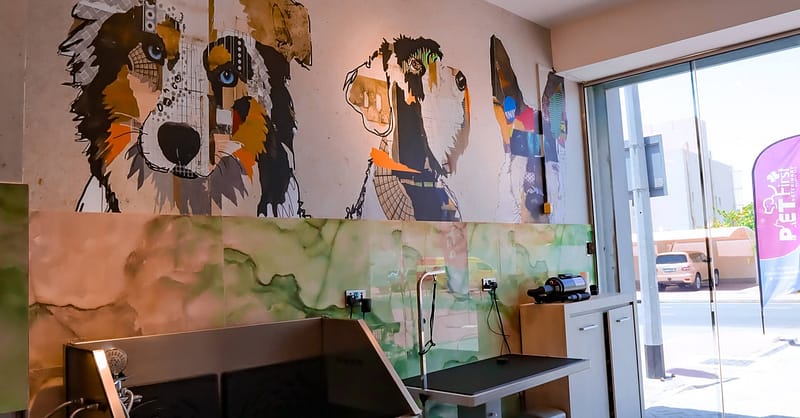 Dog / Cat Grooming From Best Veterinary Clinic In The Uae Award Winner Dubai - Image 16