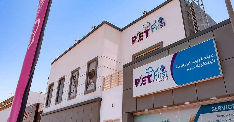 Dog / Cat Grooming From Best Veterinary Clinic In The Uae Award Winner Dubai - Image 17