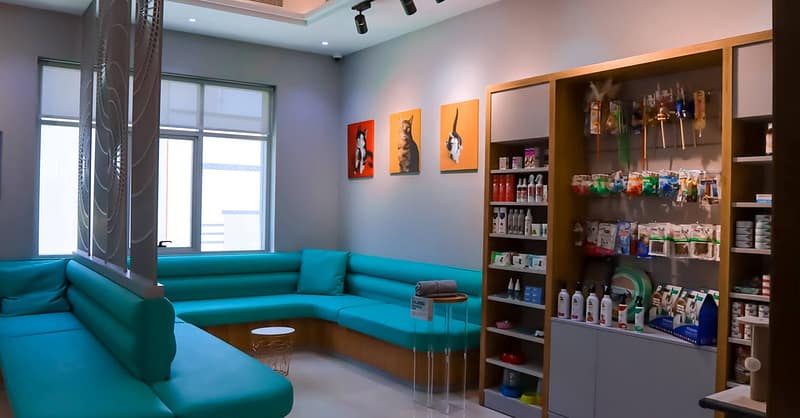 Dog / Cat Grooming From Best Veterinary Clinic In The Uae Award Winner Dubai - Image 3