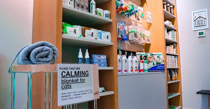 Dog / Cat Grooming From Best Veterinary Clinic In The Uae Award Winner Dubai - Image 9