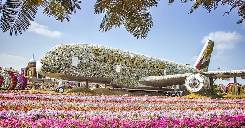 Dubai Frame, The Lost Chambers Aquarium, Wild Wadi Waterpark, & More! Dubai - Image 10