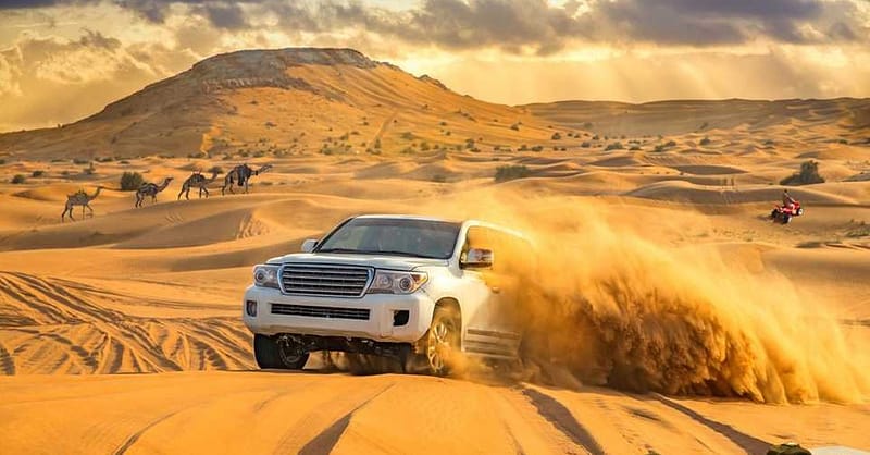 Evening Desert Safari Dubai - Image 6