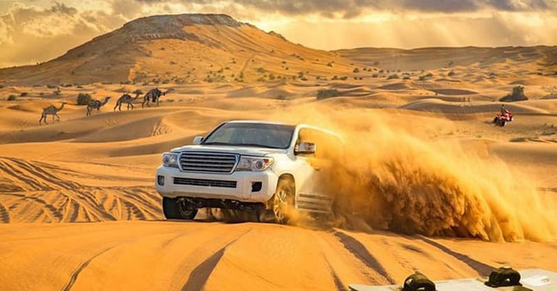Evening Desert Safari For Up To Six People At Desert Lion Tourism Dubai - Image 2