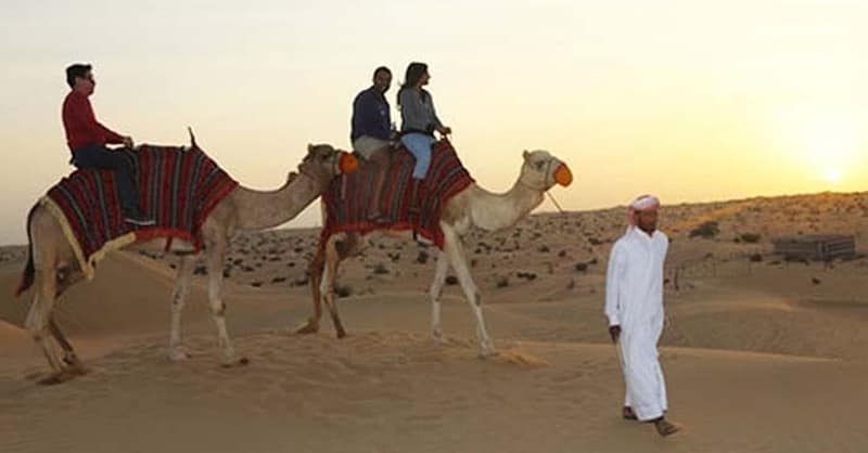 Experience A Desert Safari Adventure With Basic Or Vip Perks! Sharjah & N. Emirates - Image 2