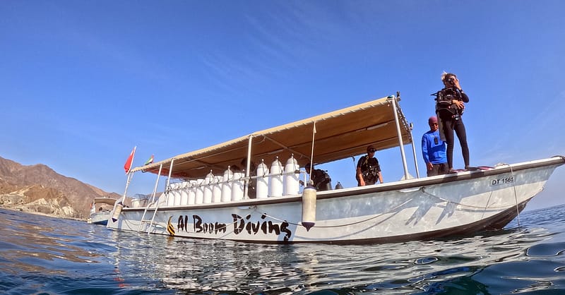 Experience Scuba Diving With Pool And Beach Dives! Dubai - Image 2