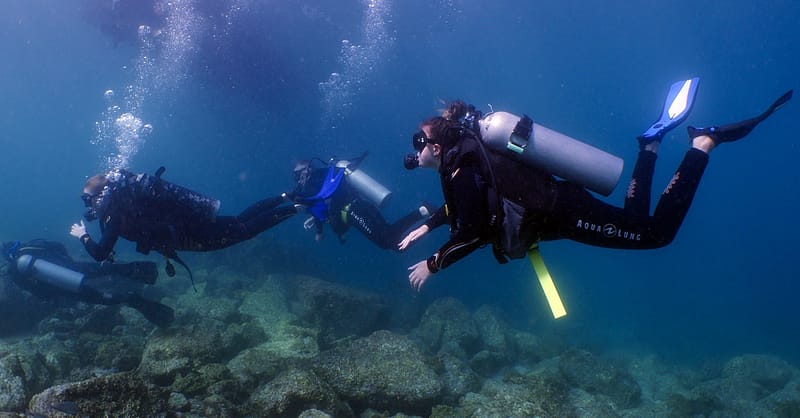 Experience Scuba Diving With Pool And Beach Dives! Dubai - Image 5