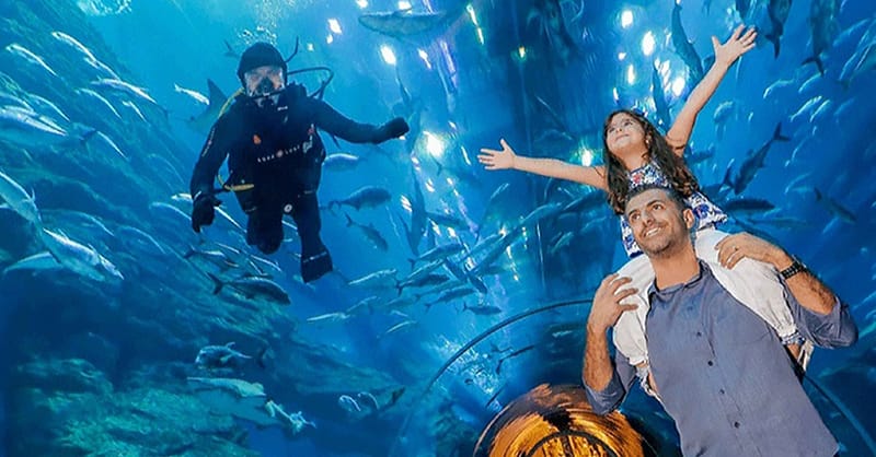 Explore Dubai Aquarium, Underwater Zoo And Penguin Cove Dubai - Image 4