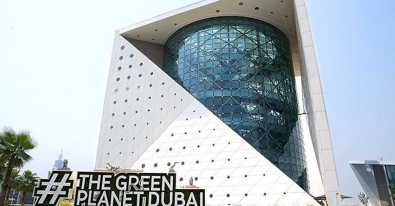 Explore Dubai Aquarium With Frame, Glow Garden, Aya Universe & More! Dubai - Image 11