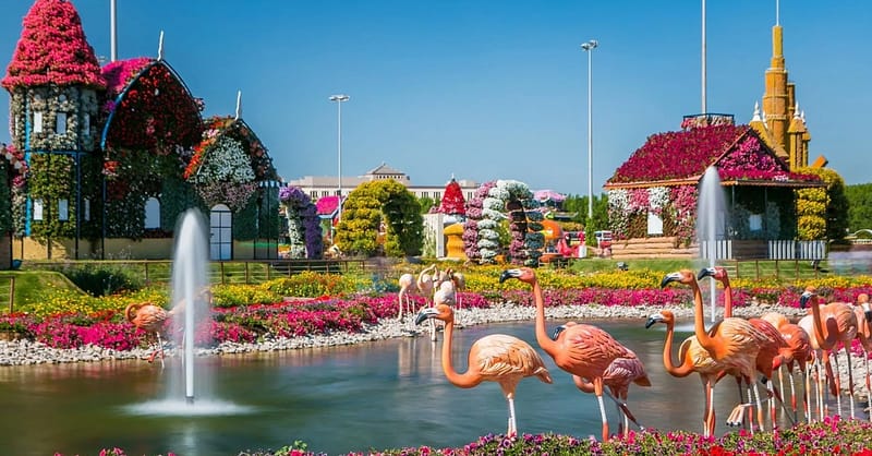 Explore Dubai Aquarium With Frame, Glow Garden, Aya Universe & More! Dubai - Image 12