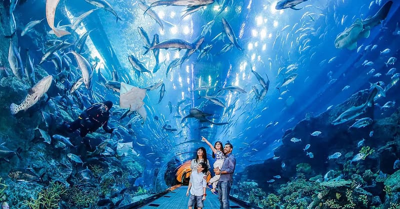Explore Dubai Aquarium With Frame, Glow Garden, Aya Universe & More! Dubai - Image 7