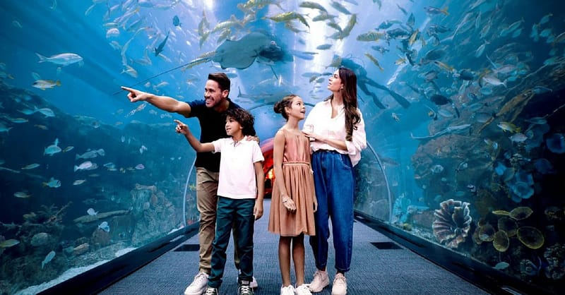 Explore Dubai Parks & Resort + Exciting Attractions Dubai - Image 3