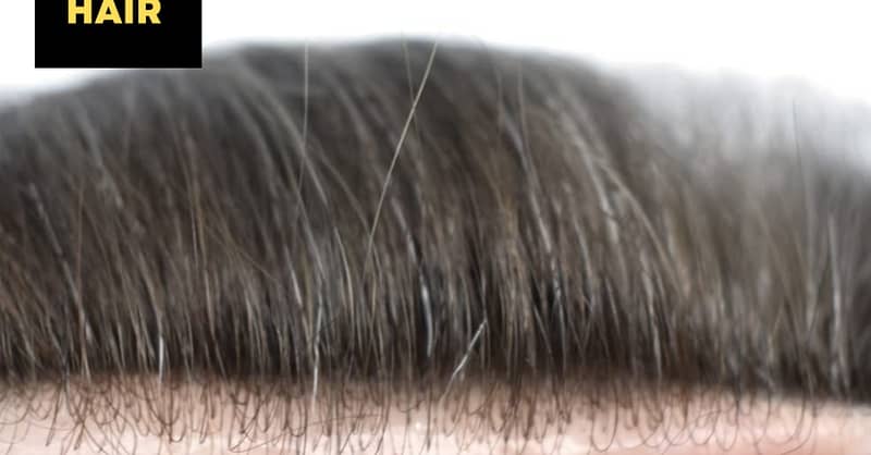 Extensions / Feathering Dubai - Image 2