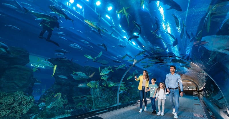 Fascinating Aquaventure Waterpark With Lost Chambers Aquarium National Deal - Image 6