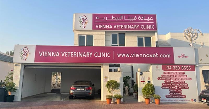 Fluff & Shine: Treat Your Pet To Luxury! Dubai - Image 3