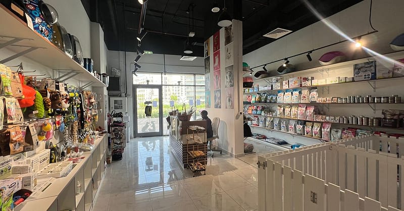 Full Grooming For Small, Medium, Large, Or X-Large Pet Dubai - Image 4
