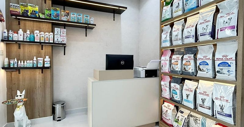Grooming For Medium Dogs, Large Dogs, And Cats/Small Dogs Dubai - Image 4