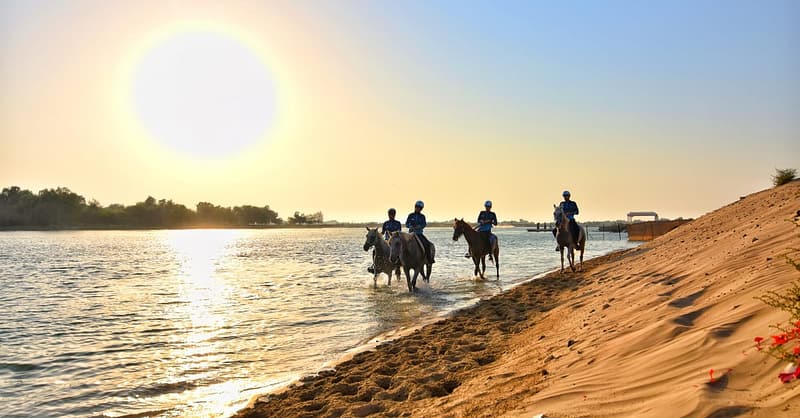 Horseback Riding By The Beach Dubai - Image 3