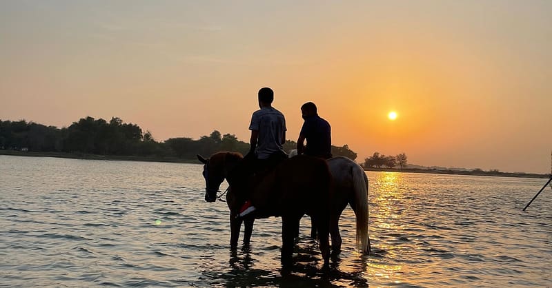 Horseback Riding By The Beach Dubai - Image 5
