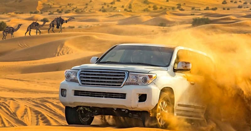 Img Tickets, Vip Desert Safari With Transport Options At Rs Tourism Dubai - Image 15
