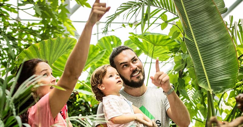 Img Worlds Of Adventure With Dubai Frame, Miracle Garden, And More National Deal - Image 11